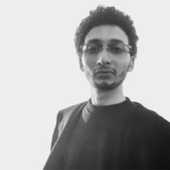 Ahmed SalahEddin