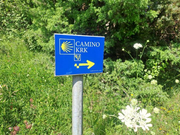 Josefine Tschuchnigg