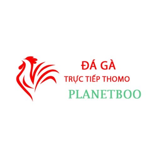 Đá Gà Trực Tiếp Thomo
