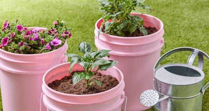 PT Billing Coaching Community