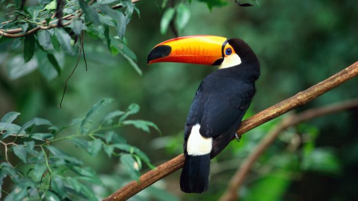 Titus and Latischa Carter