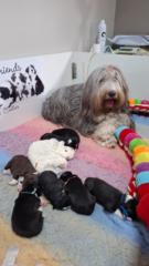 Brigit Weerkamp Smits