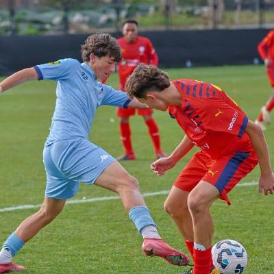 Thomas den Hollander