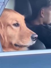 L K