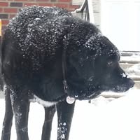 Hildy Pepper