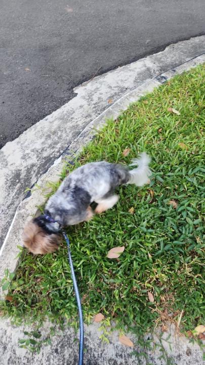 Winnie Tiong