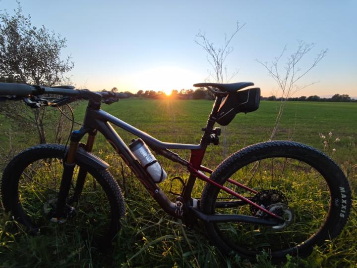 Joan Manuel Barceló Garcia