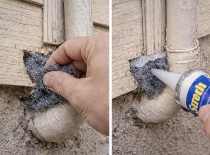 The $10 Fix That Stops Mice (The Right Way