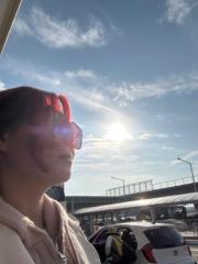 Hoa Phượng Phượng