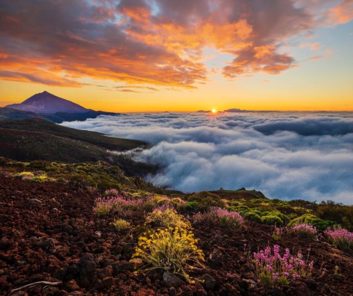 🚨 Calling All Runners! Join Our Tenerife Training Camp This March! 🏃‍♂️🏃‍♀️
