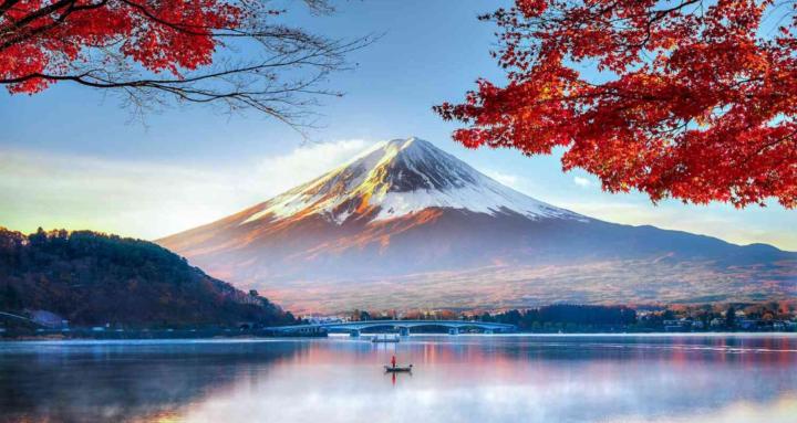 Timothy's School of Thought