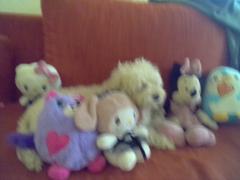 Verónica Dell'Orfano