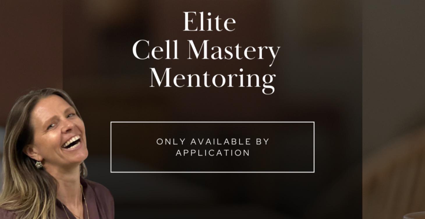 Elite 1:1 Mentoring for High-Achievers