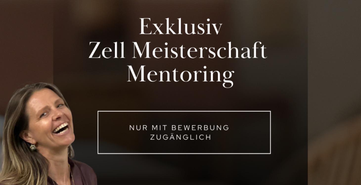 Elite 1:1 Mentoring für High-Achiever