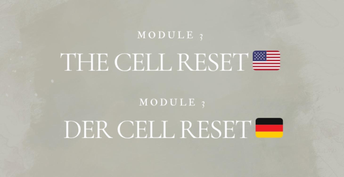 🟡 MODULE 3 — YOUR FIRST SHIFT I DEIN 1. SHIFT