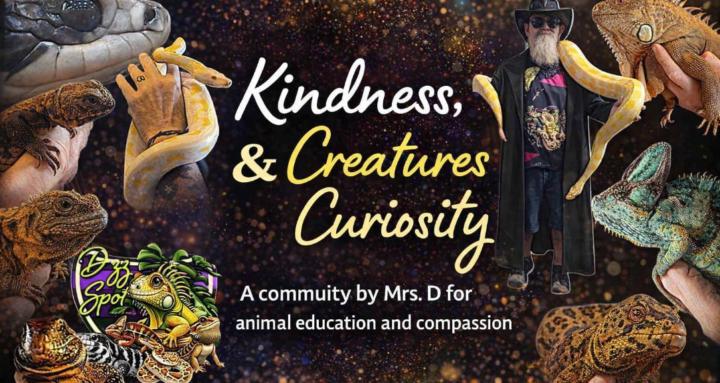 Kindness Creatures & Curiosity