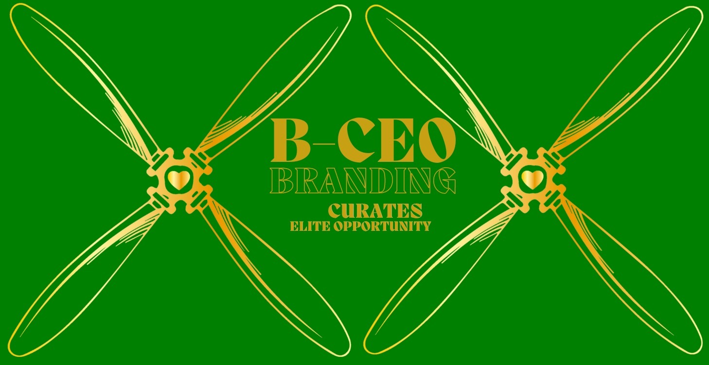 B-CEO FUNDING OPTIONS