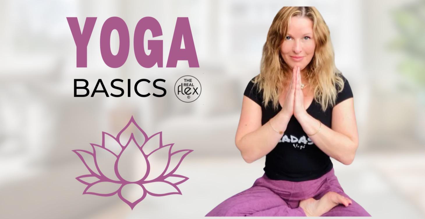 Yoga BASICS  - Full Library🧘‍♀️