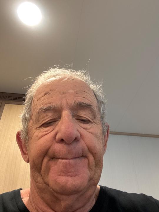 David Bergstein