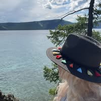 Үрлээ Баасан