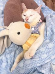 Cheewinwilaiporn Suphaporn