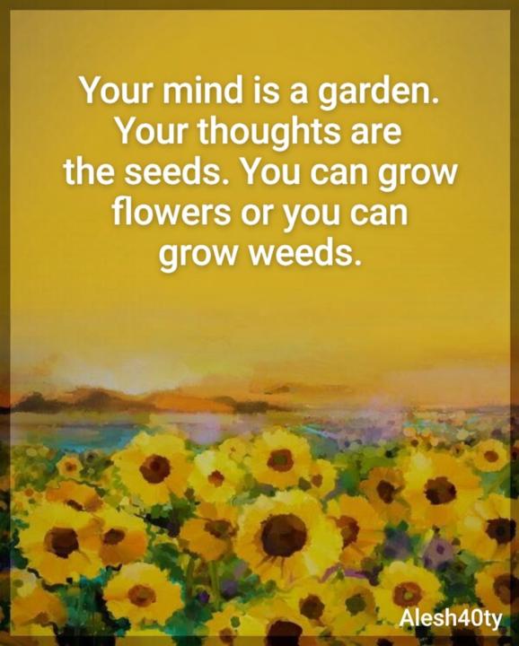 Your mind is a garden