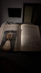 Alejandro Díaz Taberner