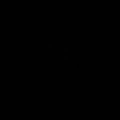 Rémi Scale Partner