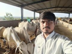 Tandur Mahesh