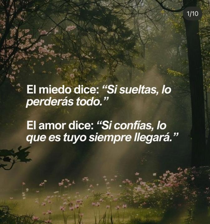 Hoolaaa