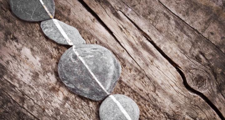 The Aligned Living Collective