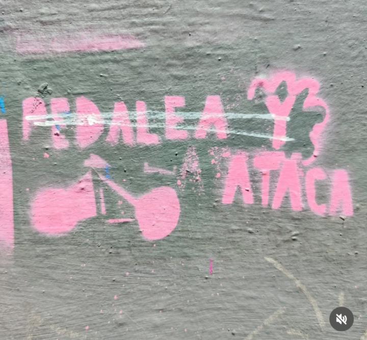 Virginia García Fernández