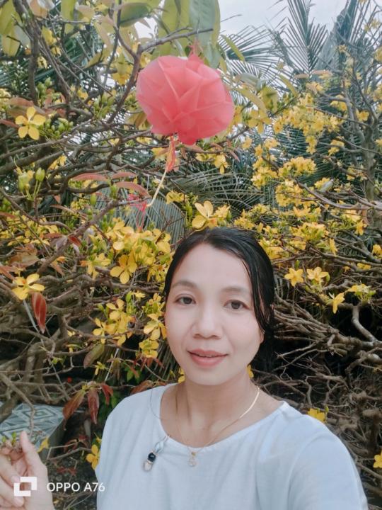 Thị Ngọc Quỳnh Trần