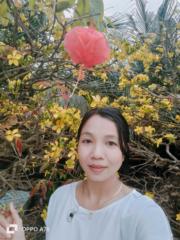 Thị Ngọc Quỳnh Trần