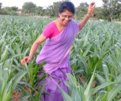Thabitha Ailineni
