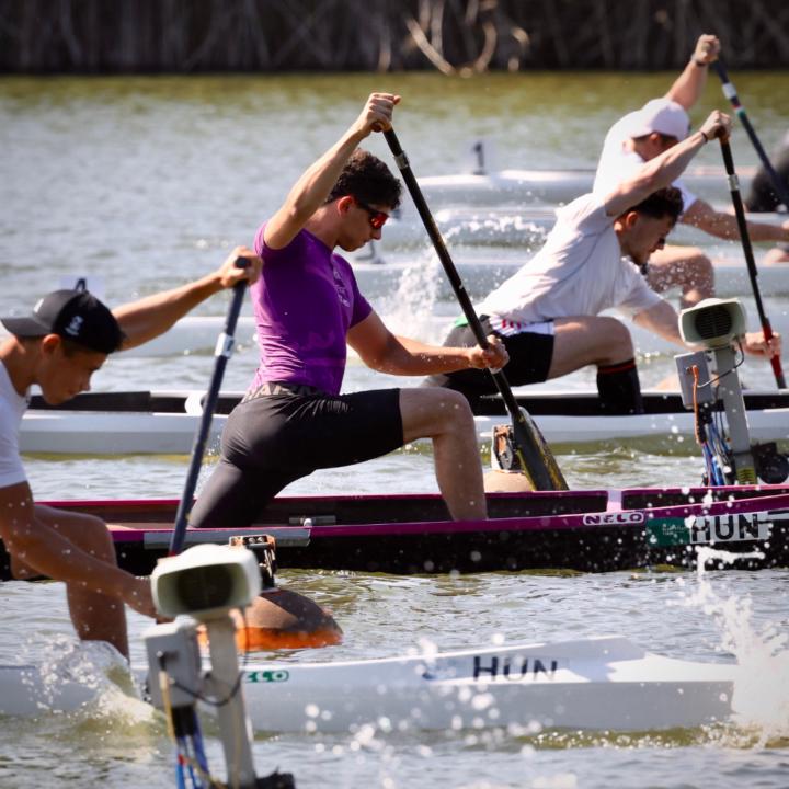 Áron Egri