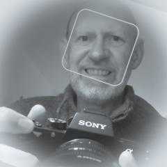 Brian Martin