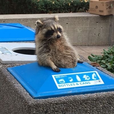 Alvaro Macias Palencia