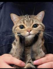 Diego Hernandez aguilar