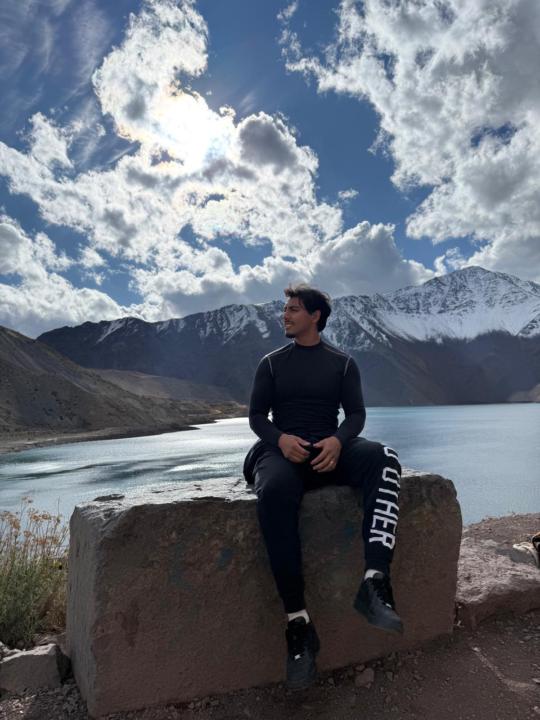 Meet Mario: The Pillar For Vision