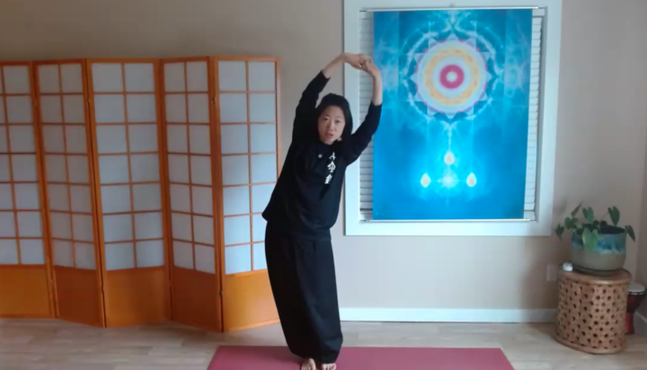 Qigong Replay