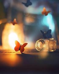 Areeba Abid