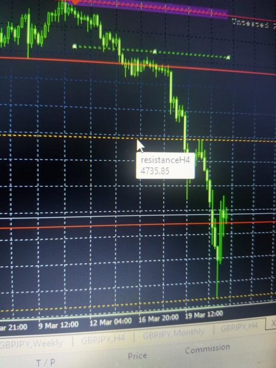 Gold Forecast!