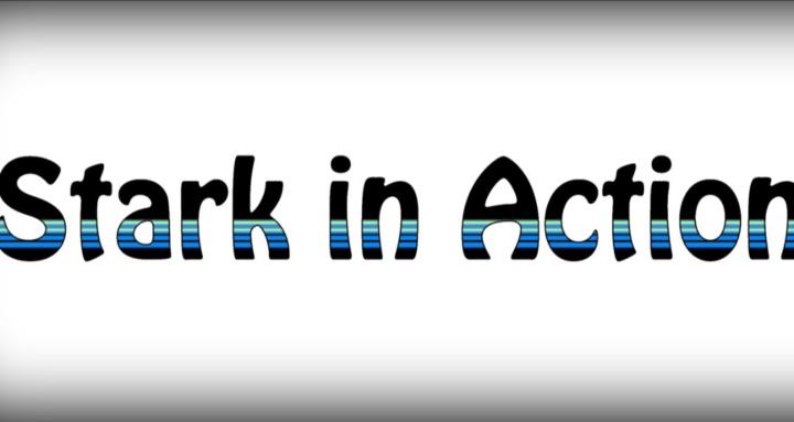 Fortlaufend.Stark System