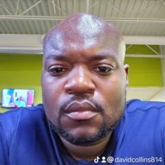 David Collins