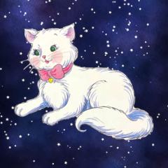 Clara Schumann Cat