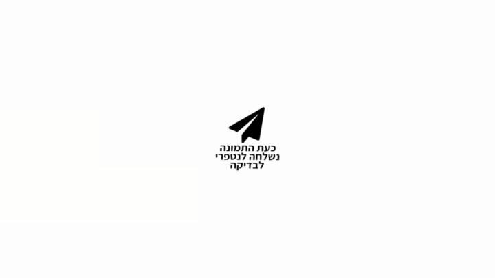 אלימלך גשטטנר