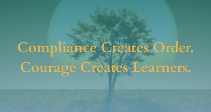 Courageous Educators