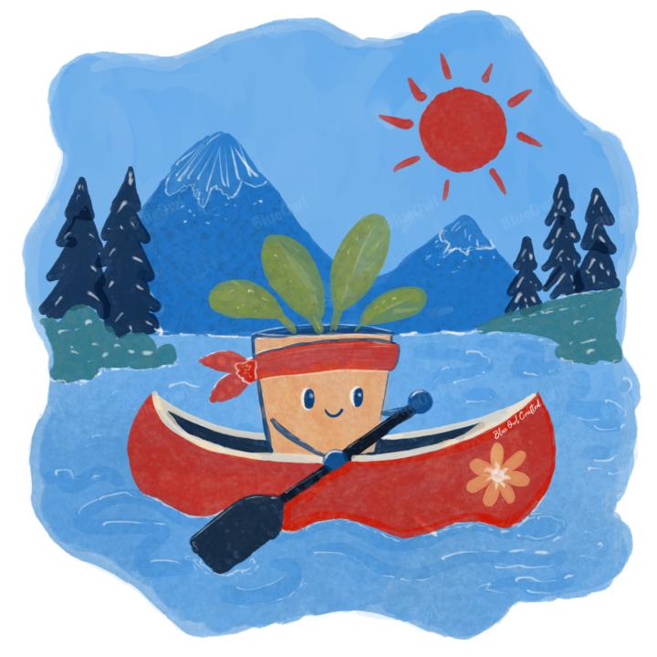 🪴🌱A Flowerpot’s Adventure on a Lake in Blue & Red 🌱🪴 