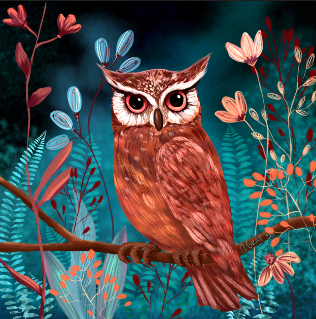 The Night Watcher 🦉✨